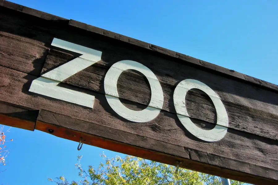 Placa de madeira com a palavra ZOO em branco. Top 10 Zoológicos no Brasil.